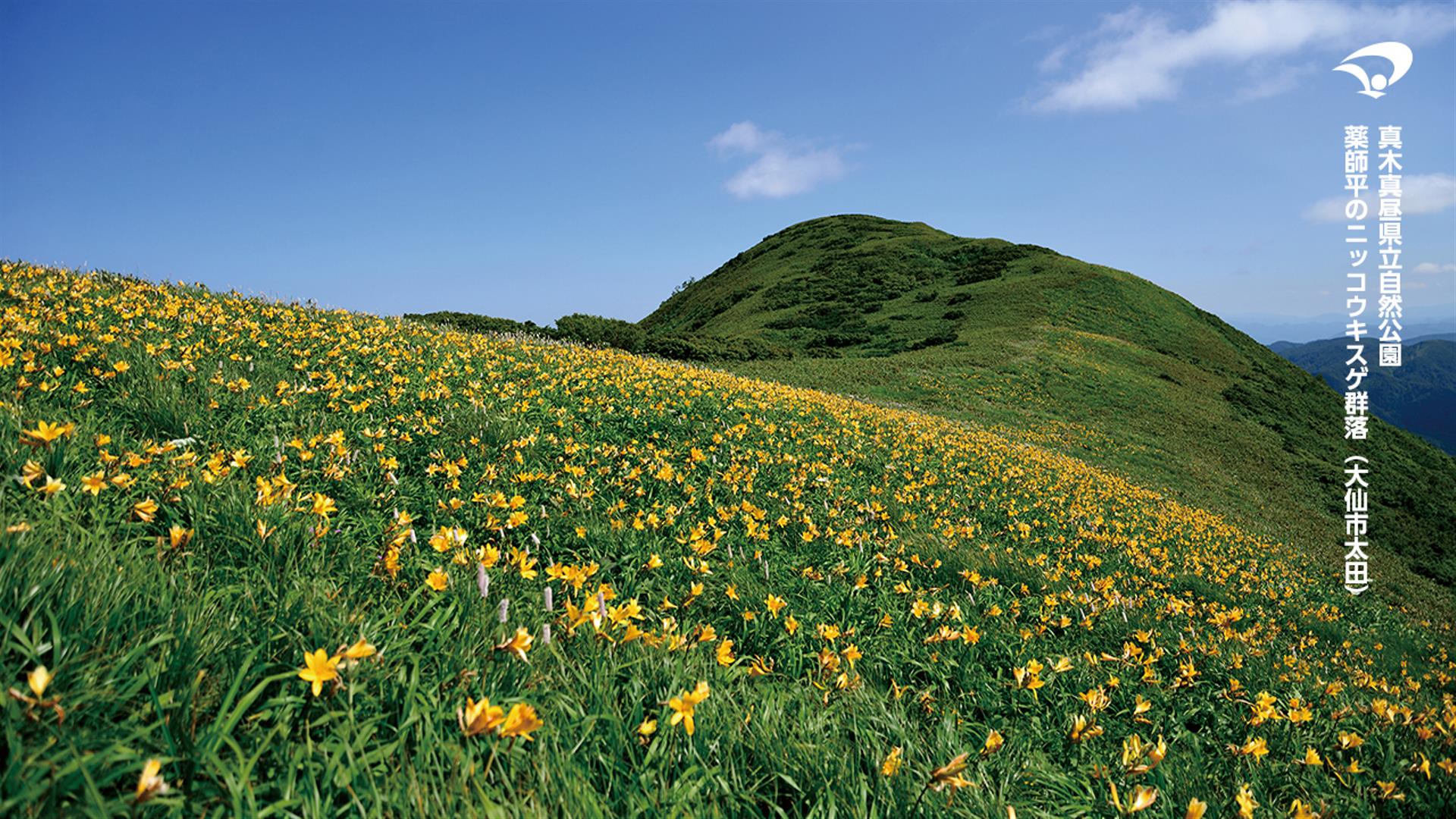 Virtual Background バーチャル背景 ポニーキャニオン エリアアライアンス部 地域活性化事業 Virtual Background バーチャル背景 ポニーキャニオン エリアアライアンス部 地域活性化事業